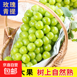 四川大凉山阳光葡萄青提晴王无籽葡萄新鲜水果爆甜锦时 带箱5斤（单果15g+）净重4-4.5斤