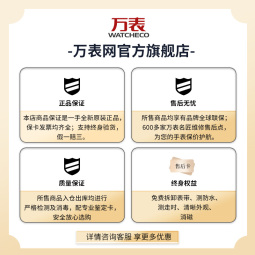 东方星（ORIENT STAR）万表日韩手表男休闲自动机械男士腕表东方星大师系列 哥特风度黑 RE-AW0001B00B