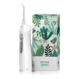 博皓（prooral）冲牙器家用便携式洗牙器牙齿冲洗器水牙线电动洁牙器牙垢去除器 送男女朋友生日礼物 5002 晶莹透