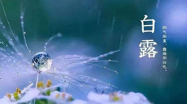 今日白露，再忙别忘吃“3白、3黄”，应季而食营养足，秋冬少生病