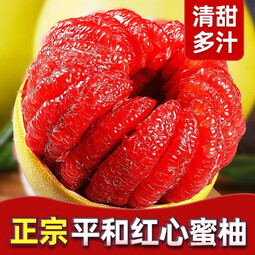 庾丰源头直采 新鲜水果 福建琯溪平和红心蜜柚 现摘柚子 中秋送礼团购 5斤大果（净重4.5斤）
