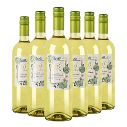 天帕（TENTA）智利中央山谷原装原瓶进口 天帕长相思干白葡萄酒13度750ml 6支整箱