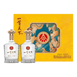 五粮液股份公司出品一尊天下52度浓香型白酒宴请送礼白酒礼盒 52度 500mL 2瓶 龙年礼盒