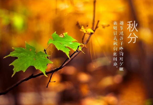 “秋分吃3宝，百病不来扰”9月23日秋分，3宝指啥？滋阴润燥过秋