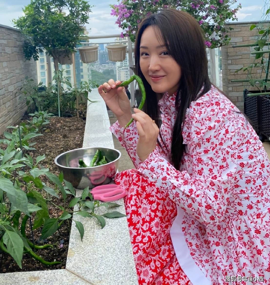 54岁杨钰莹不见老！穿碎花裙在豪宅摘菜好美，阿姨年纪却像00后！