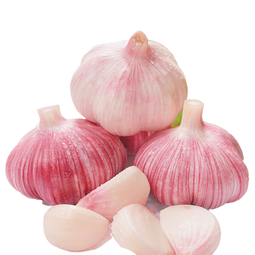【百万单爆品】紫白皮蒜水果大蒜超市生鲜蔬菜调料即食蒜 【尝鲜】3头 50g 单果3.5-5cm