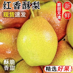 康田汇 陕西红香酥梨 当季新鲜梨子水果现货新鲜时令应季水果整箱 5斤精选装【严选级】净重4.5斤 新鲜采摘