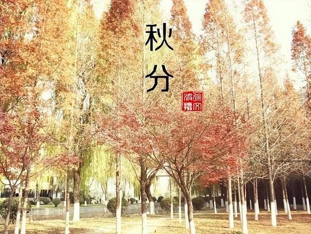 “秋分吃4样，4季都安康”9月23日秋分，4样指啥？尊重传统身体棒