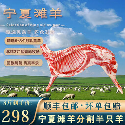 午羊 宁夏滩羊肉 生鲜分割半只羊排年货礼盒羊腿羊蝎子烧烤火锅食材  【宁夏滩羊】分割半只羊8斤