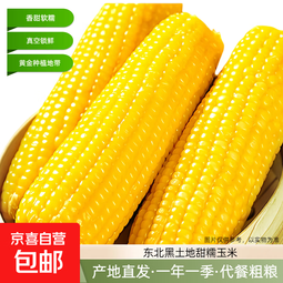 东北甜糯玉米 黄糯玉米真空包装加热即食速食玉米棒糯玉米 黄糯玉米10棒 单棒＞180g