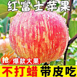 疆域采虹正宗陕西红富士苹果水果时令脆甜丑苹果新生鲜孕妇水果生鲜整箱 5斤特选超值装 净重约为4斤+