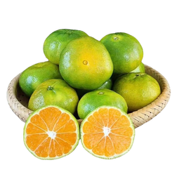 闽域寻鲜  蜜桔【头茬蜜桔】湖北宜昌蜜桔子新鲜当季中秋水果非云南蜜橘子 5斤严选装净重4.5斤