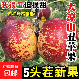 【大凉山冰糖心】新鲜盐源丑苹果大凉山冰糖心孕妇当季整箱包邮 【整箱9斤】特选特大果