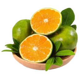 京觅宜昌蜜桔 精选新鲜蜜橘 净重3斤50mm+橘子 源头直发包邮中秋水果 