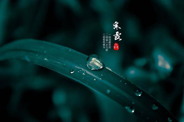 “寒露吃3宝，不把医生找”，明日寒露，指哪3宝？滋阴润肺健脾胃
