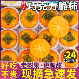 粤迎广西恭城脆甜脆柿柿子时令糖心柿黄甜脆柿子整箱巧克力脆皮柿子 5斤精选果【脆甜好吃】净4.5斤