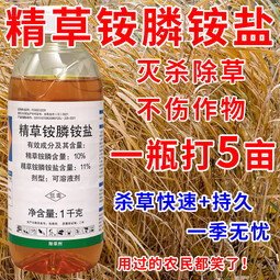 豫掌门精草铵膦铵盐除草剂连根烂死果园荒地芦苇小飞蓬牛筋草正品除草剂 1000克*1瓶【送助剂1袋】
