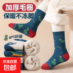 儿童袜子秋冬季保暖毛圈袜加绒加厚男童女童恐龙卡通中筒袜秋冬款 恐龙毛圈5双装 每款各一双 5双 9-12岁 33-38码