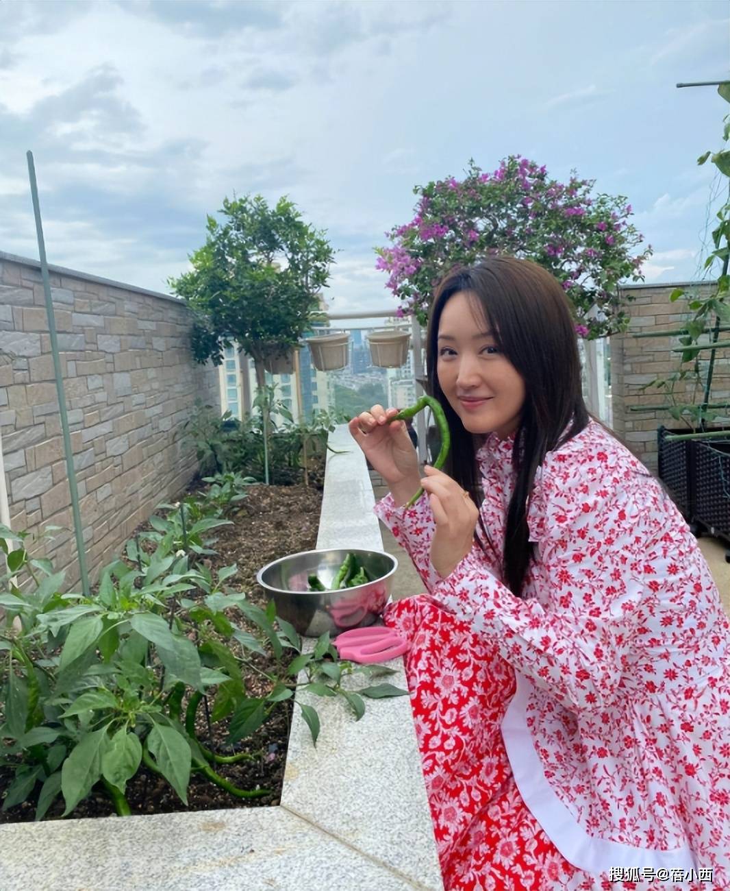 54岁杨钰莹不见老！穿碎花裙在豪宅摘菜好年轻，阿姨年纪却像00后