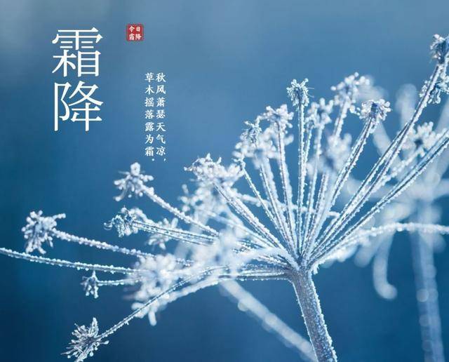 “霜降吃3样，人旺家也旺” ，明日霜降，3样指啥？再忙也别忘了吃