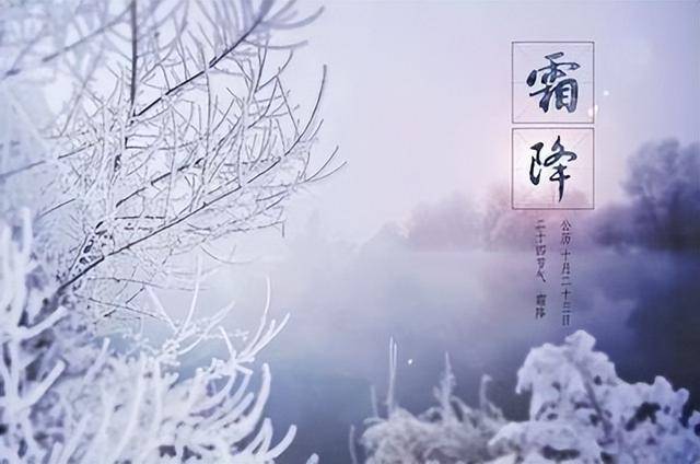 “霜降吃3宝，不把医生找”，今日霜降，3宝指啥？滋阴润肺养脾胃