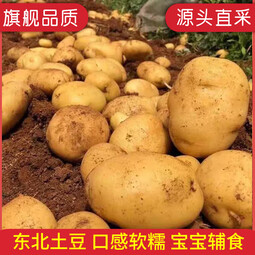 牛爱鲜 黄心土豆新鲜洋芋马铃薯黄皮应季蔬菜整箱优质土豆现摘美味蔬菜 10斤精选装【现挖现发】净重9斤 农家现挖蔬菜