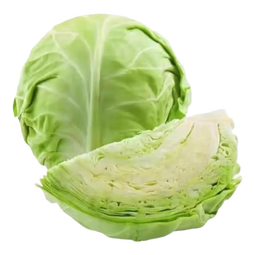 高原夏菜新鲜包菜卷心菜绿甘南菜甘蓝圆白菜时令蔬菜健康营养早餐 3斤带箱农家好菜