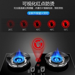 荣事达（Royalstar）燃气灶煤气灶双灶家用猛火天然气台式嵌入式两用灶具 大火力液化气炉具 （液化气）五环猛火【聚能环】