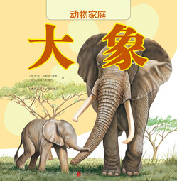 动物家庭：大象