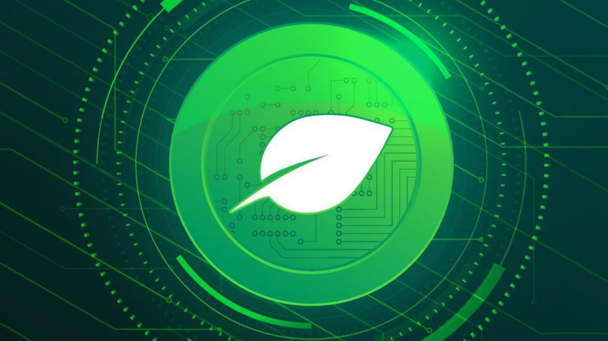 奇亚币详解：环保加密货币新选择