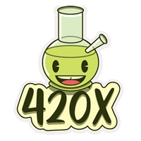 420X币暴涨？未来价格走势深度解读