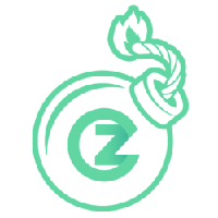 CZBOMB币投资指南：潜力与风险分析