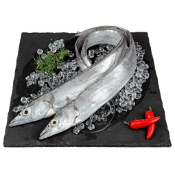 纯色本味 冷冻舟山带鱼1300g 刀鱼 烧烤 (整条去嘴去尾） 生鲜鱼类