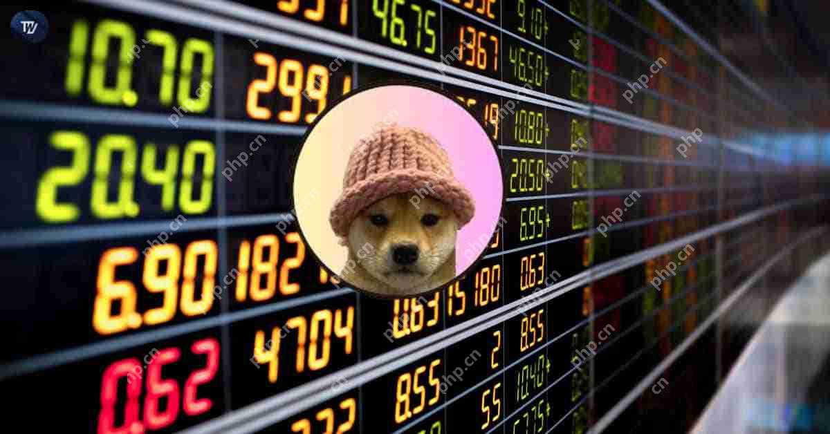 WIF潜力巨大：Dogwifhat或将2倍增长