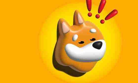 Bonk币价格飙升10.27%，最新动态