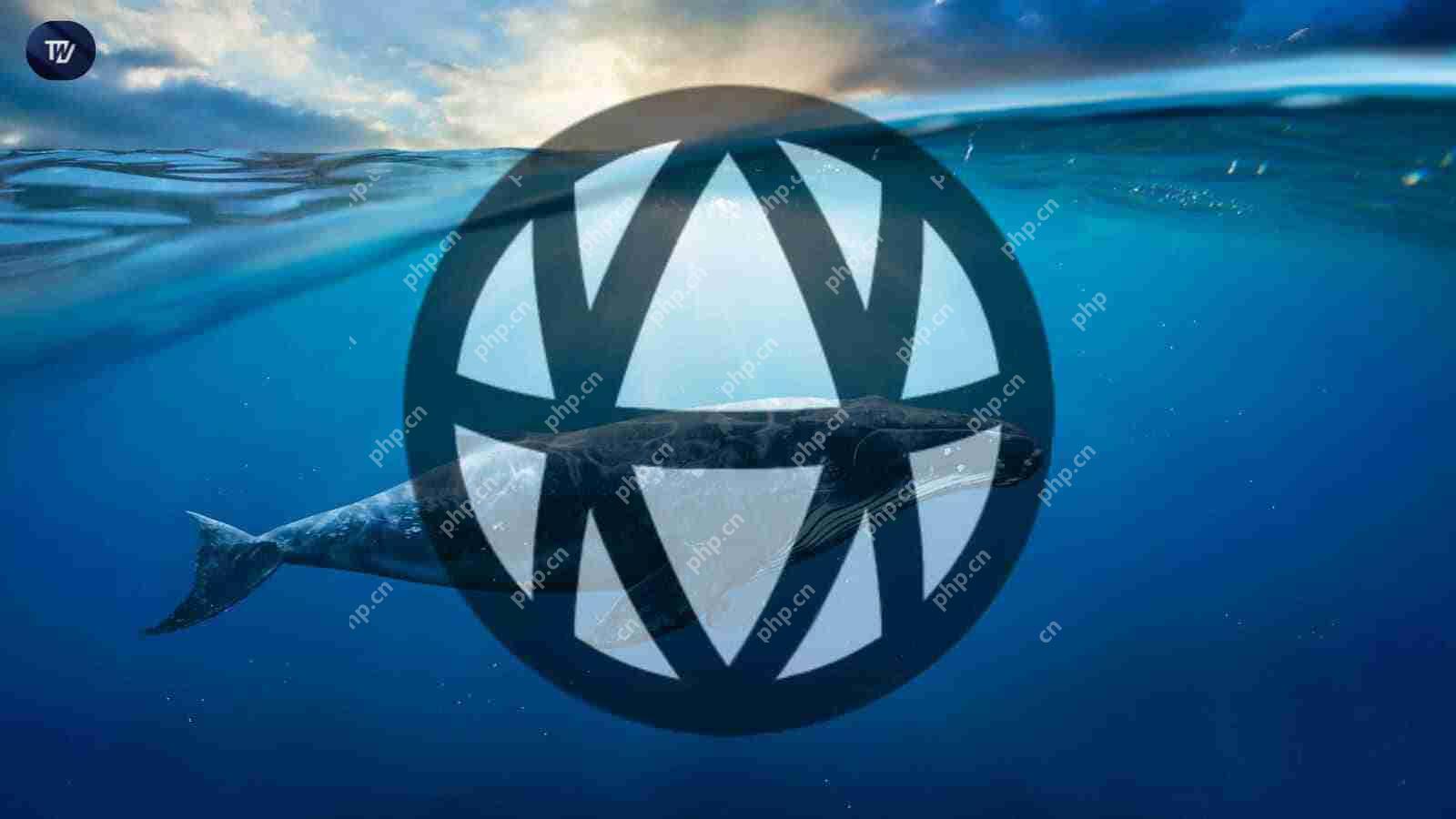 鲸鱼豪掷百万，AVA代币暴涨在即？