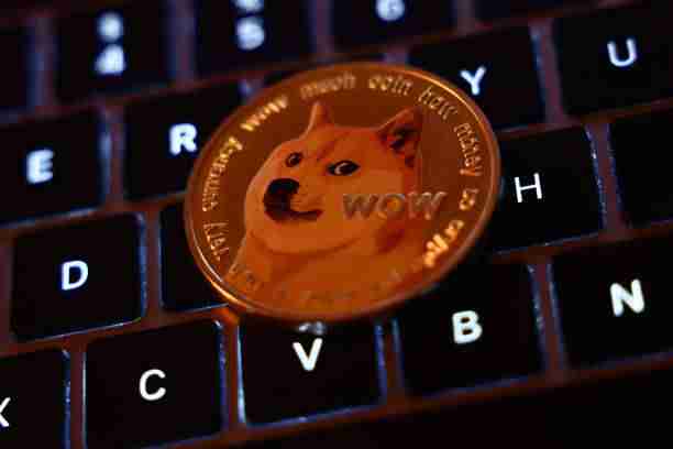 狗狗币暴跌！抄底时机到了？专家解读