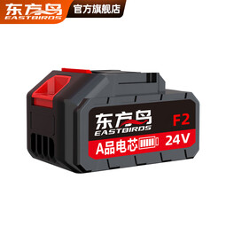 东方鸟24V加强超强续航锂电池水泵专用 【24V】加长续航锂电池