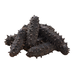 张奶奶海参试吃淡干辽刺参试吃装大连深海底播干海参非即食无污染 尝鲜约 15g*1盒 3头装【13倍泡发】 正宗大连淡干辽刺参