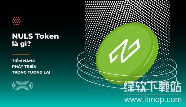 纳世币牛市何时来？多因素驱动期待