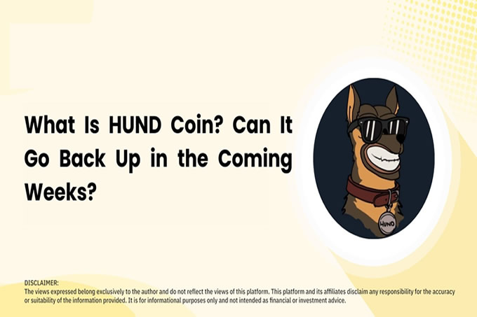 HUND币暴跌90%后，还能抄底吗？