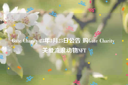 Gate Charity：NFT公益，关爱流浪动物