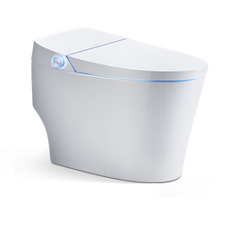 法恩莎（FAENZA）全自动智能马桶低压座圈加热虹吸脚感冲水净澜釉面座便器FEA06-GM