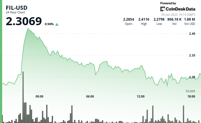 Filecoin爆涨？纽约人揭秘FIL交易内幕