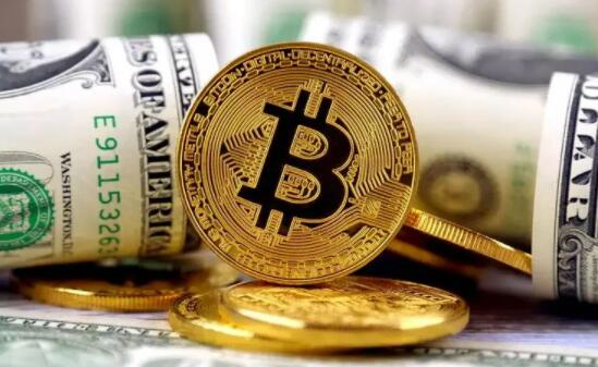 虚拟货币入门：新手必备知识宝典
