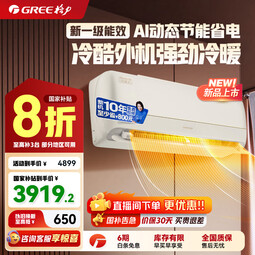 格力全能王 新能效 变频冷暖 自清洁 壁挂式 卧室空调挂机 1匹 一级能效 全能王