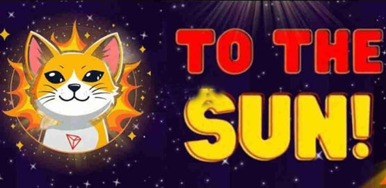 SUNCAT币暴涨？未来价格预测大揭秘！
