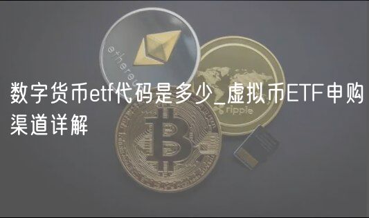 数字货币ETF代码查询&申购全攻略