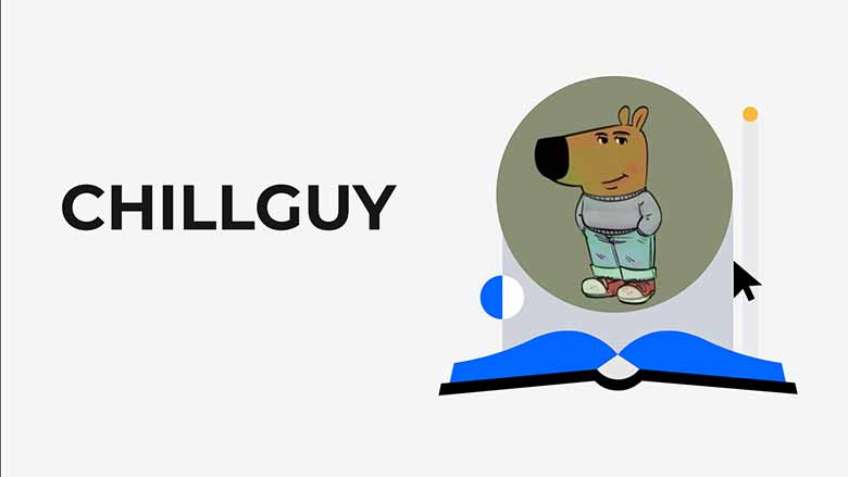 Solana链ChillGuy：Meme币新星崛起？