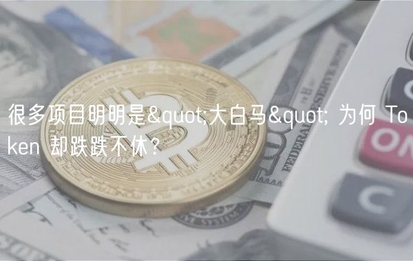 Token经济学揭秘：为何“大白马”项目Token跌跌不休？